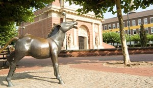 Wesel