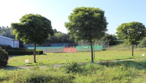 Tennis