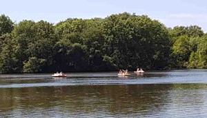 Pedal boat