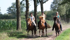 Horse riding