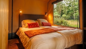 Safaritent Forest Lodge - bedroom